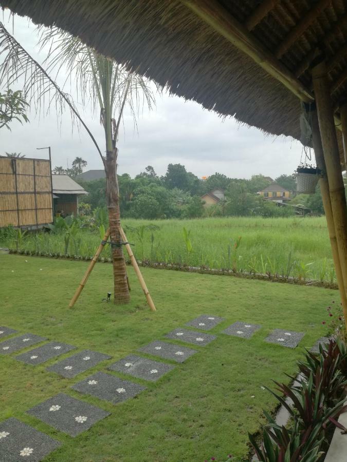 Hello Canggu Homestay المظهر الخارجي الصورة